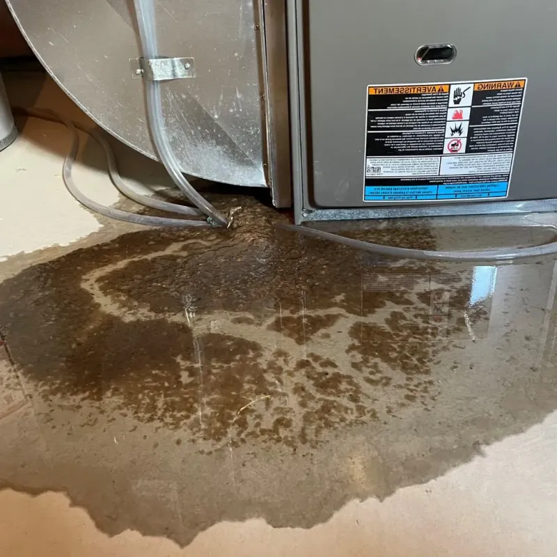 Pipe Burst and Leak Restoration in Portsmouth, NH